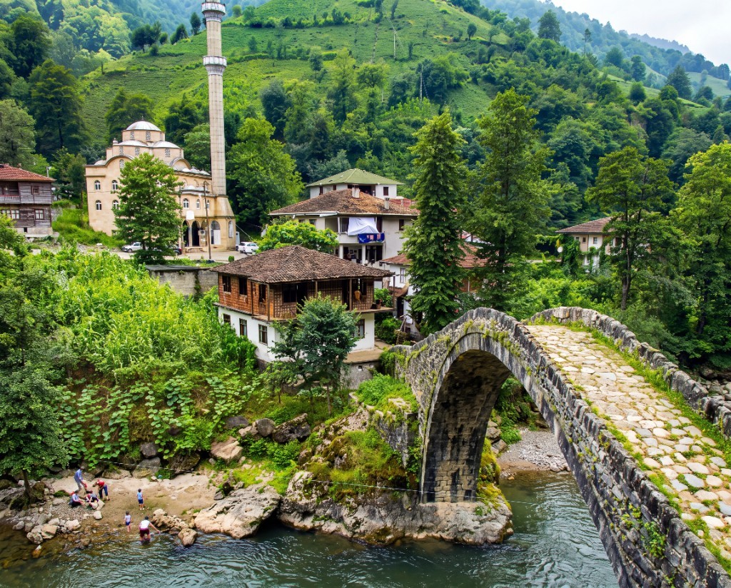 Çifteköprü, Borçka, Artvin — doğum yeri